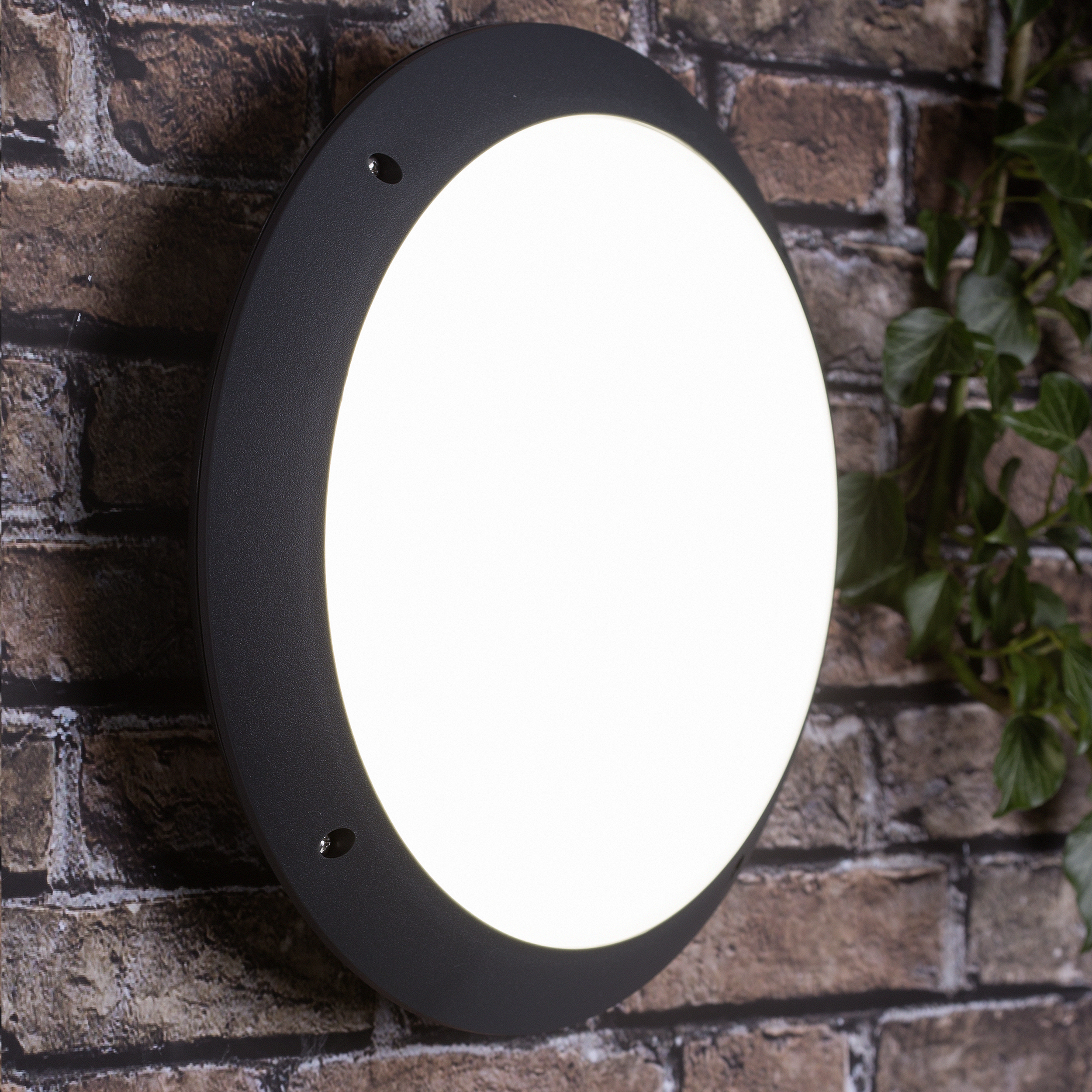 Medway LED Outdoor anthracite Light 31cm Wall | and Ceiling G96053/63