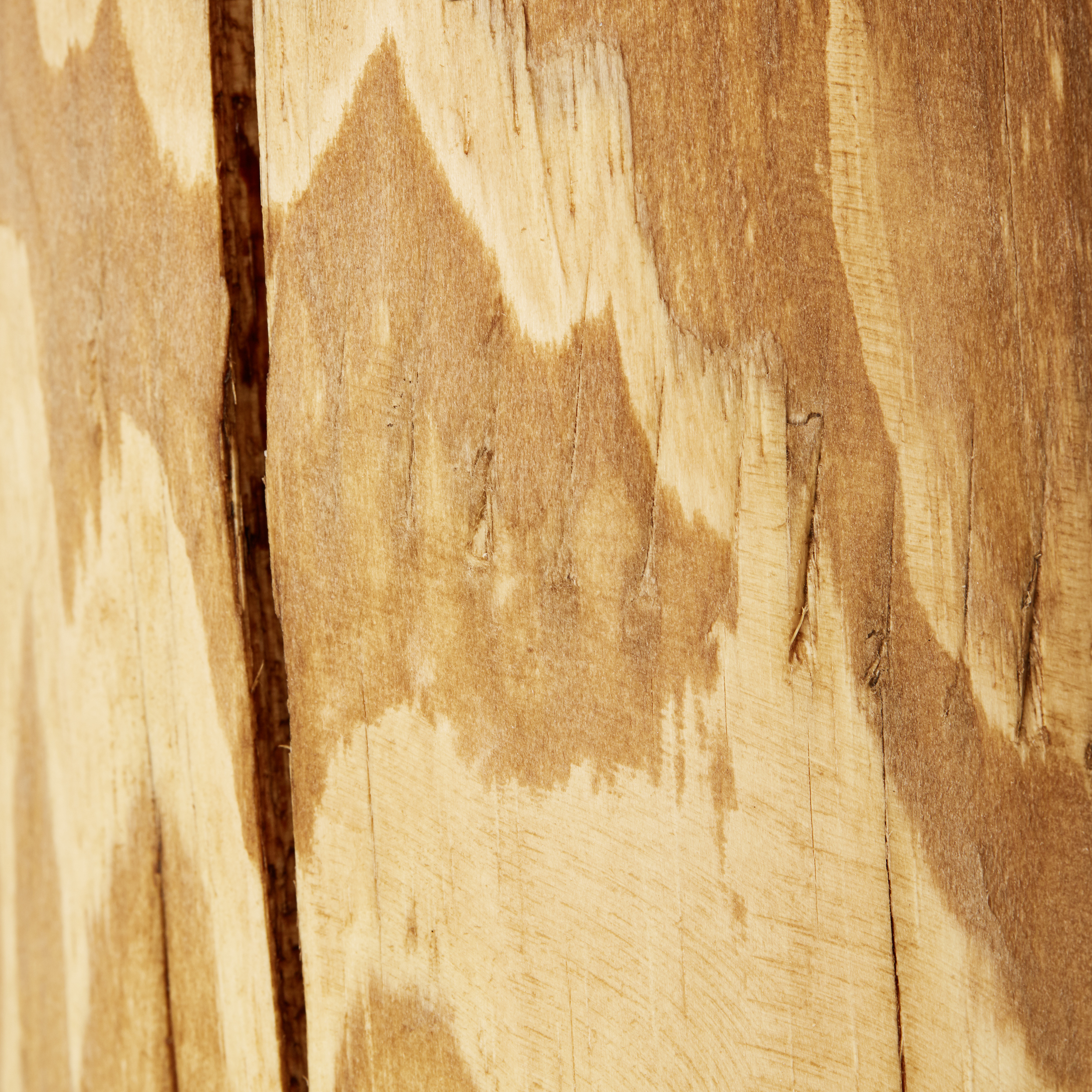 Tischleuchten Jimena kiefer gebeizt/weiß Holz/Textil