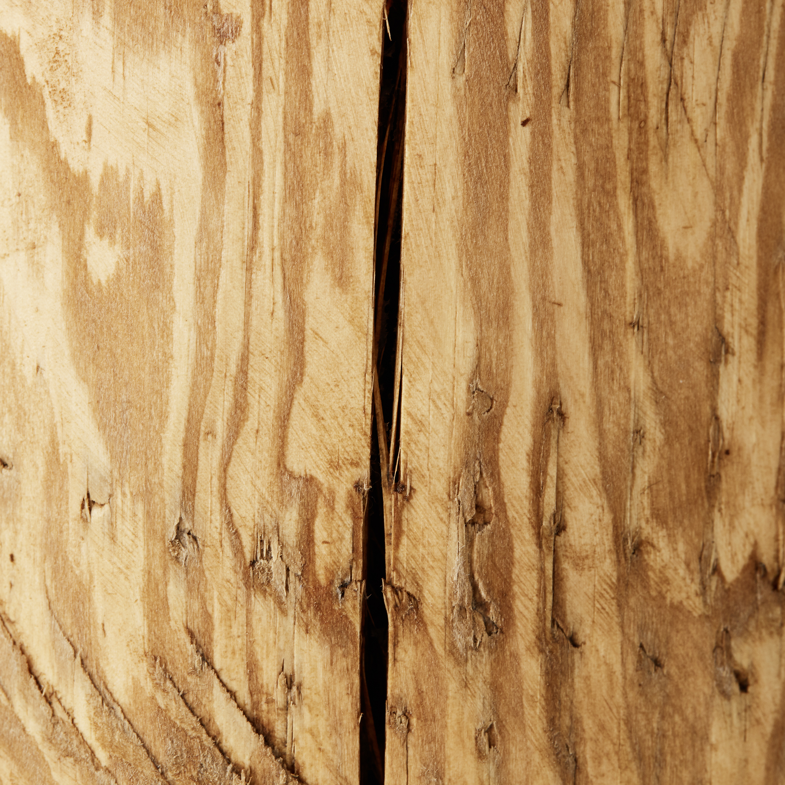 Tischleuchten Trabo kiefer gebeizt Holz