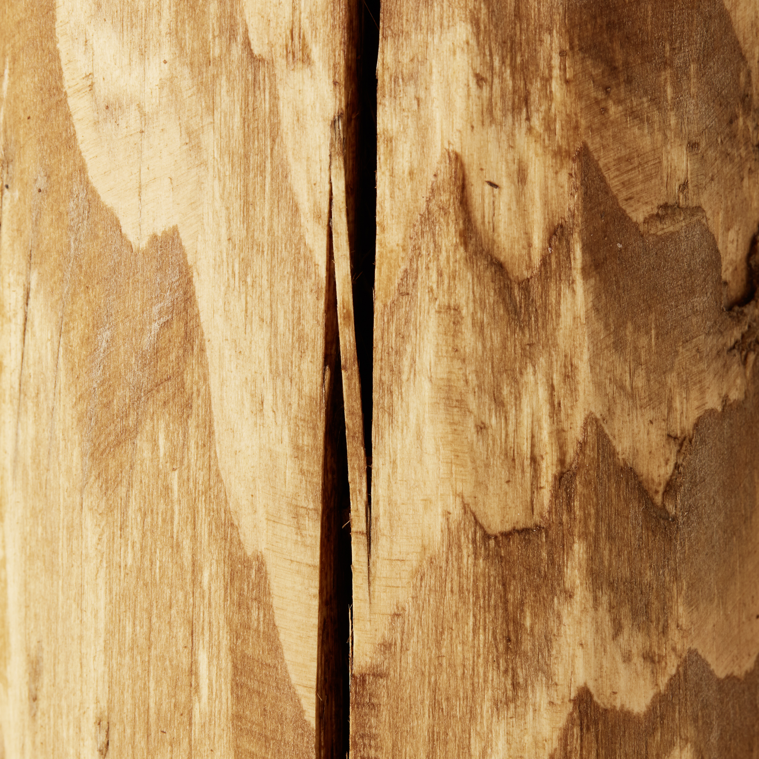 Tischleuchten Trabo kiefer gebeizt Holz